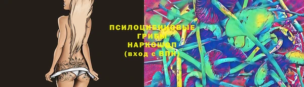 дурь Алексеевка