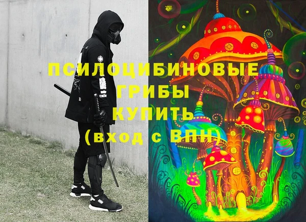 гашик Абаза