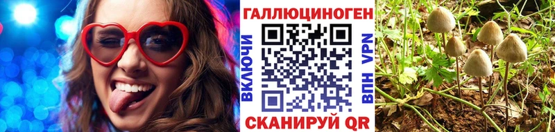 Галлюциногенные грибы прущие грибы Тимашёвск