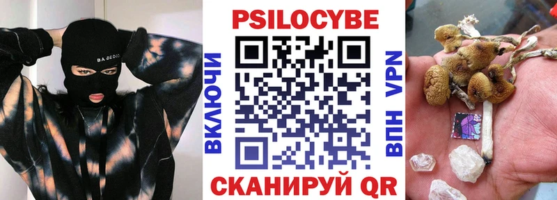 купить   Тимашёвск  Псилоцибиновые грибы MAGIC MUSHROOMS 